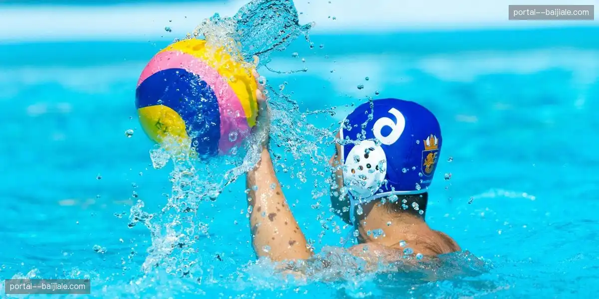 深度赛事研究报告 引导品牌投资方向